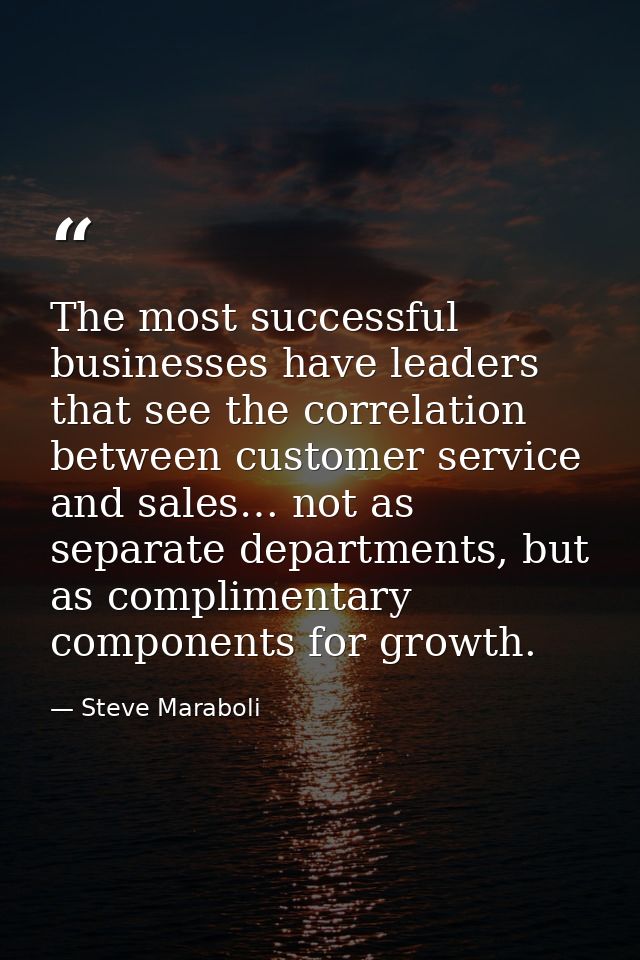 The most successful businesses have leaders that see the correlation between customer service and sales… not as separate — Steve Maraboli