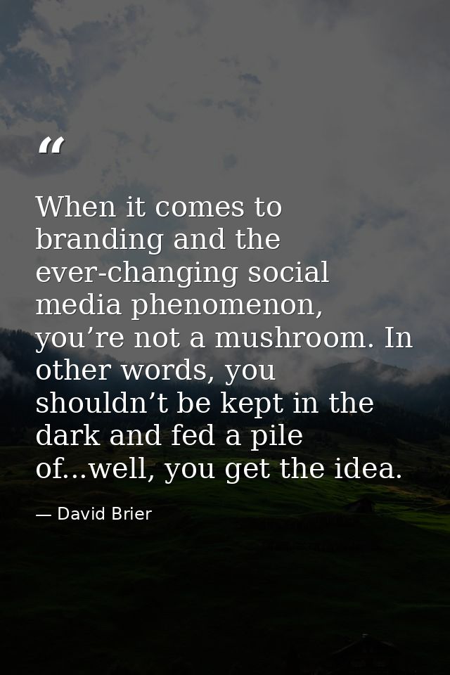 When it comes to branding and the ever-changing social media phenomenon, you’re not a mushroom. In other words, you shou — David Brier