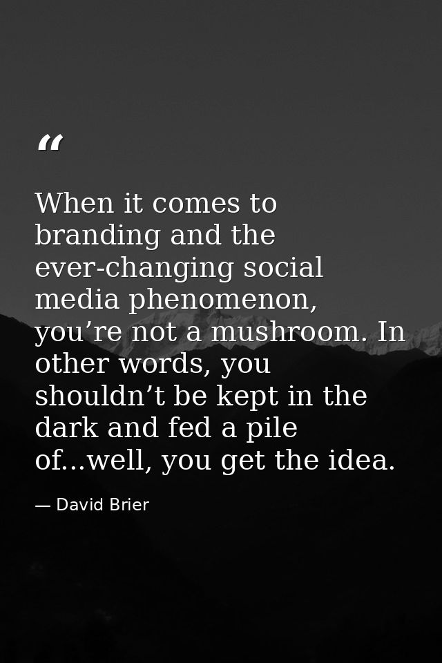 When it comes to branding and the ever-changing social media phenomenon, you’re not a mushroom. In other words, you shou — David Brier