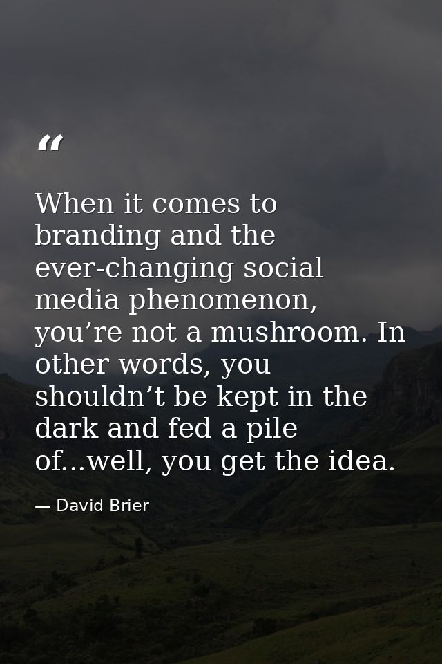 When it comes to branding and the ever-changing social media phenomenon, you’re not a mushroom. In other words, you shou — David Brier