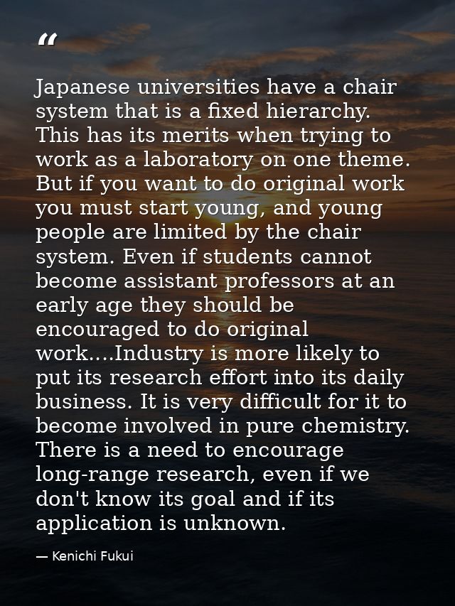 Japanese universities have a chair system that is a fixed hierarchy. This has its merits when trying to work as a labora — Kenichi Fukui