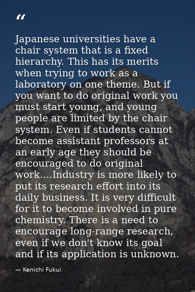 Japanese universities have a chair system that is a fixed hierarchy. This has its merits when trying to work as a labora — Kenichi Fukui