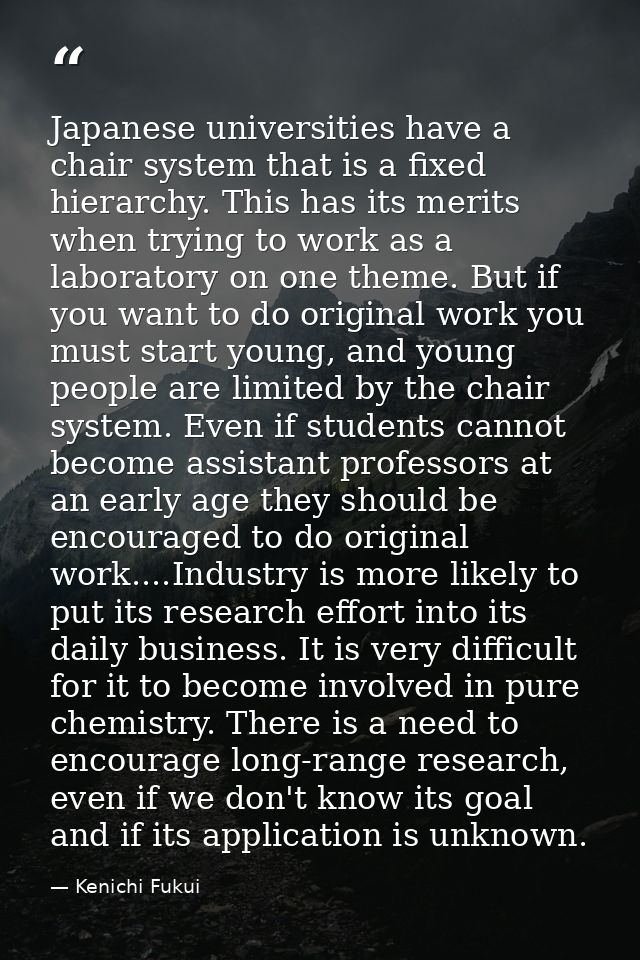 Japanese universities have a chair system that is a fixed hierarchy. This has its merits when trying to work as a labora — Kenichi Fukui