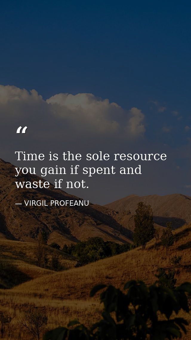 Time is the sole resource you gain if spent and waste if not. — VIRGIL PROFEANU