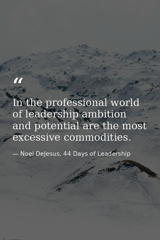 In the professional world of leadership ambition and potential are the most excessive commodities. — Noel DeJesus, 44 Days of Leadership
