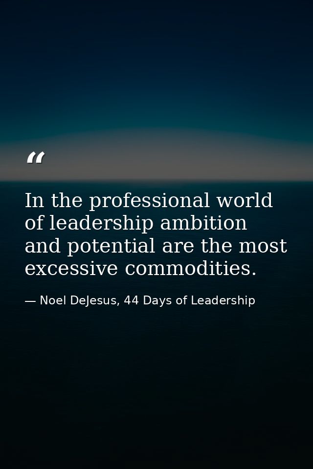 In the professional world of leadership ambition and potential are the most excessive commodities. — Noel DeJesus, 44 Days of Leadership