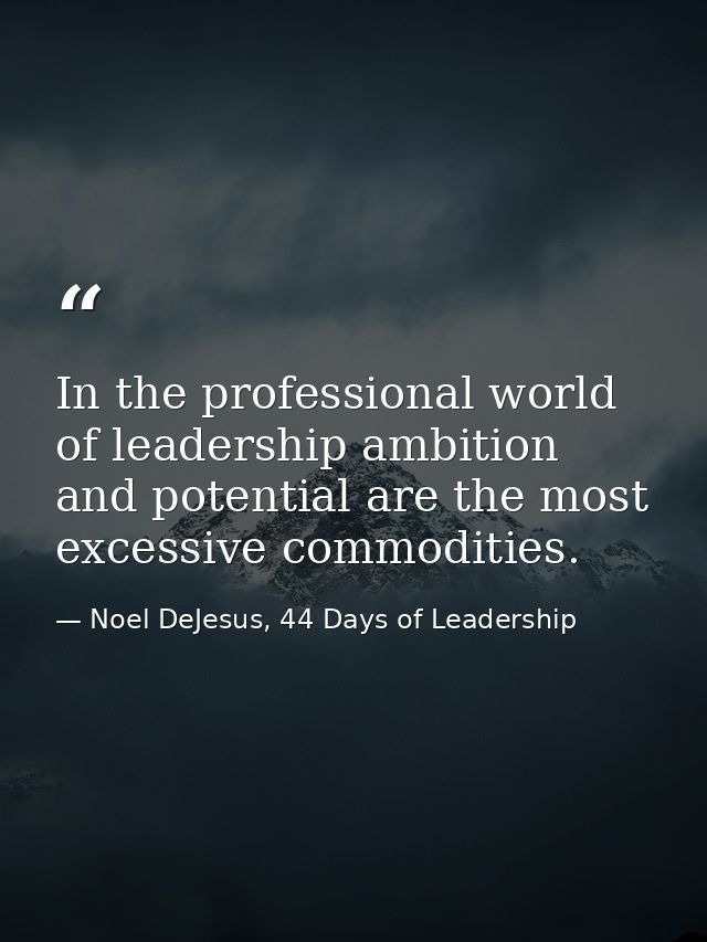 In the professional world of leadership ambition and potential are the most excessive commodities. — Noel DeJesus, 44 Days of Leadership