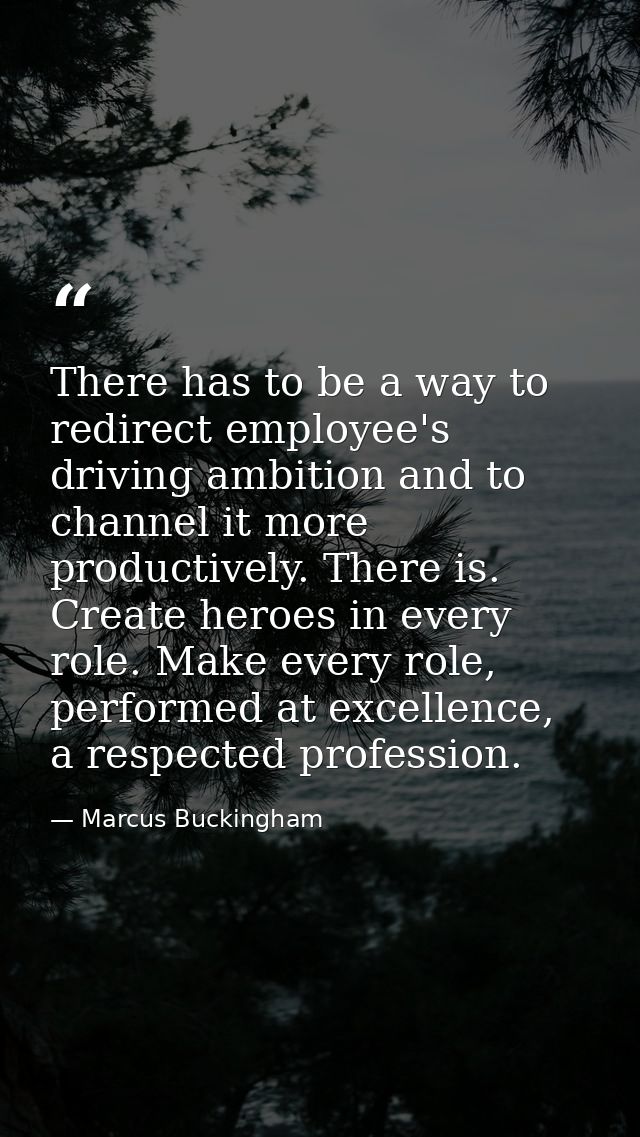 There has to be a way to redirect employee's driving ambition and to channel it more productively. There is. Create hero — Marcus Buckingham