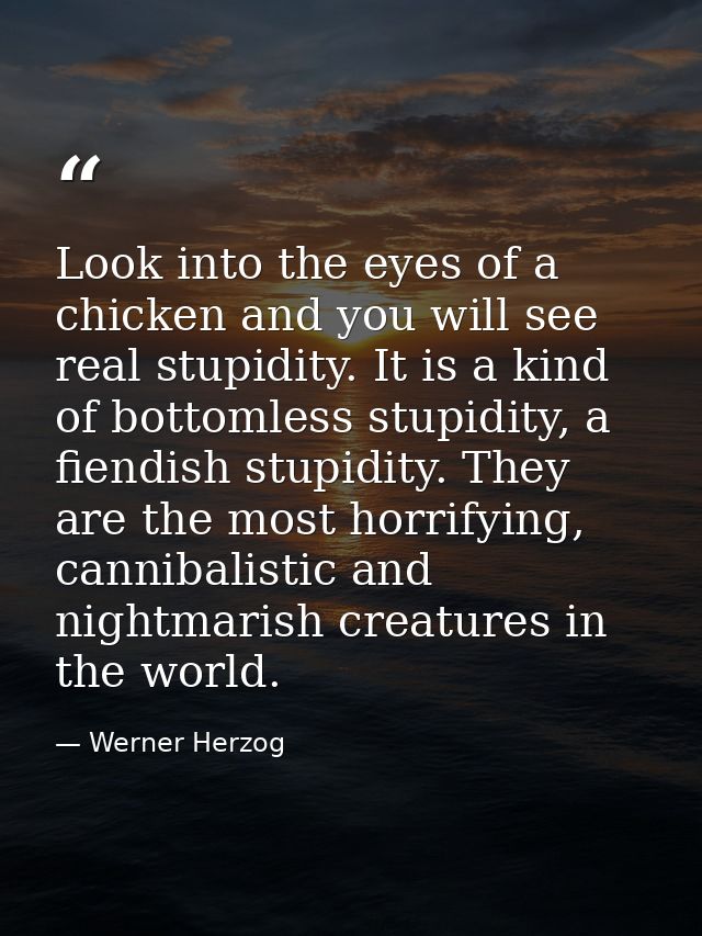 Look into the eyes of a chicken and you will see real stupidity. It is a kind of bottomless stupidity, a fiendish stupid — Werner Herzog