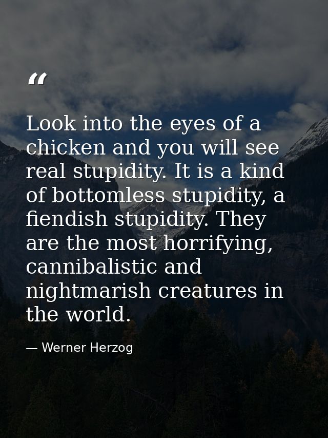 Look into the eyes of a chicken and you will see real stupidity. It is a kind of bottomless stupidity, a fiendish stupid — Werner Herzog