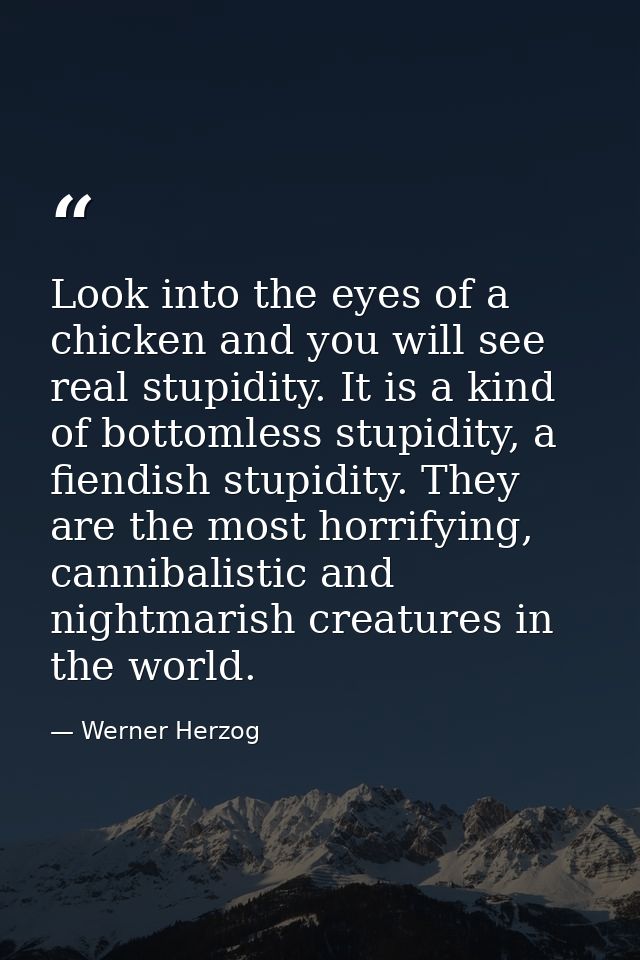 Look into the eyes of a chicken and you will see real stupidity. It is a kind of bottomless stupidity, a fiendish stupid — Werner Herzog