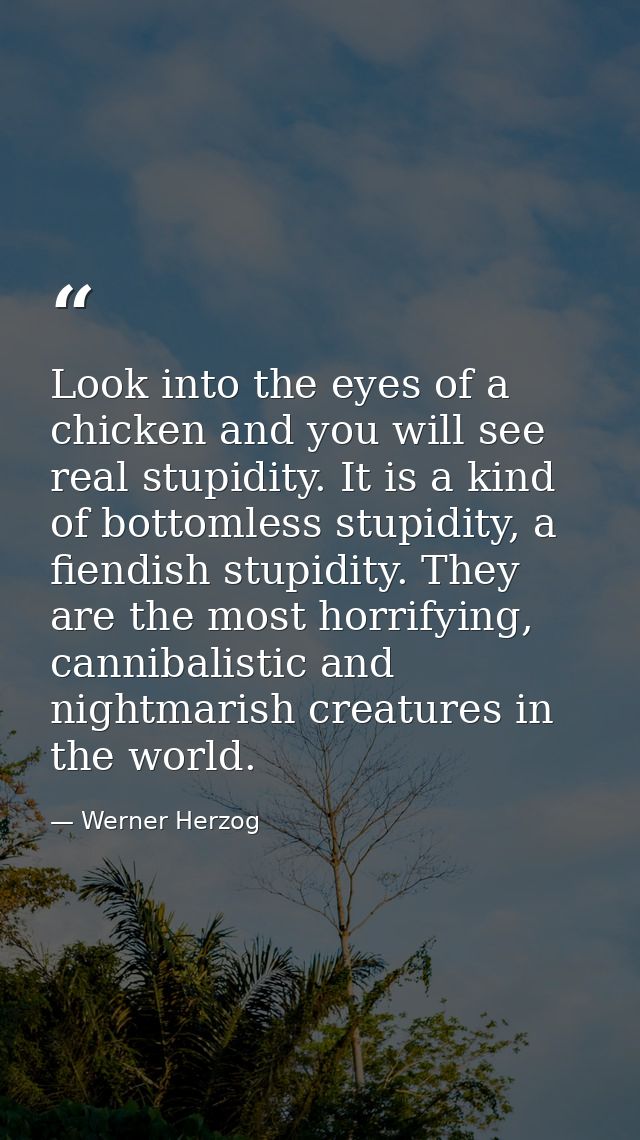 Look into the eyes of a chicken and you will see real stupidity. It is a kind of bottomless stupidity, a fiendish stupid — Werner Herzog