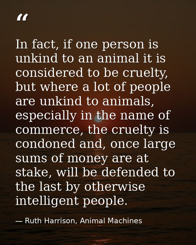 In fact, if one person is unkind to an animal it is considered to be cruelty, but where a lot of people are unkind to an — Ruth Harrison, Animal Machines