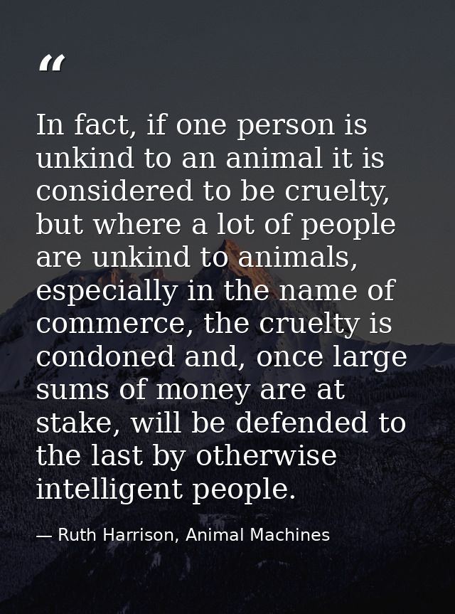 In fact, if one person is unkind to an animal it is considered to be cruelty, but where a lot of people are unkind to an — Ruth Harrison, Animal Machines