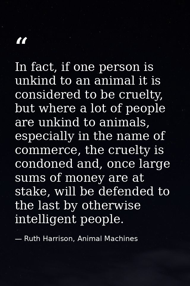 In fact, if one person is unkind to an animal it is considered to be cruelty, but where a lot of people are unkind to an — Ruth Harrison, Animal Machines