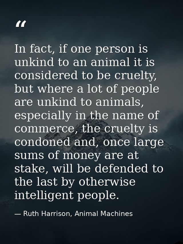 In fact, if one person is unkind to an animal it is considered to be cruelty, but where a lot of people are unkind to an — Ruth Harrison, Animal Machines