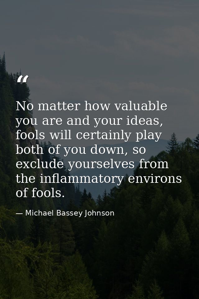 No matter how valuable you are and your ideas, fools will certainly play both of you down, so exclude yourselves from th — Michael Bassey Johnson