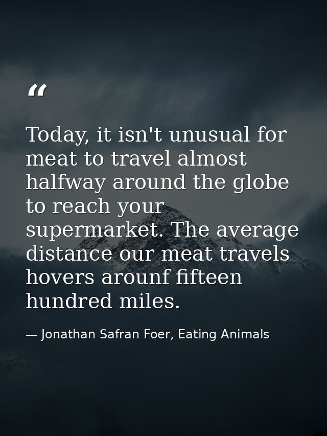 Today, it isn't unusual for meat to travel almost halfway around the globe to reach your supermarket. The average distan — Jonathan Safran Foer, Eating Animals