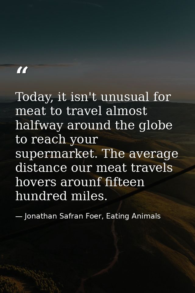 Today, it isn't unusual for meat to travel almost halfway around the globe to reach your supermarket. The average distan — Jonathan Safran Foer, Eating Animals