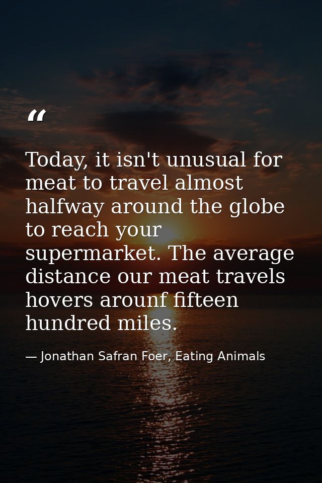 Today, it isn't unusual for meat to travel almost halfway around the globe to reach your supermarket. The average distan — Jonathan Safran Foer, Eating Animals