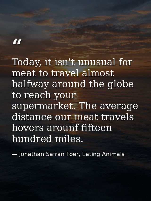 Today, it isn't unusual for meat to travel almost halfway around the globe to reach your supermarket. The average distan — Jonathan Safran Foer, Eating Animals