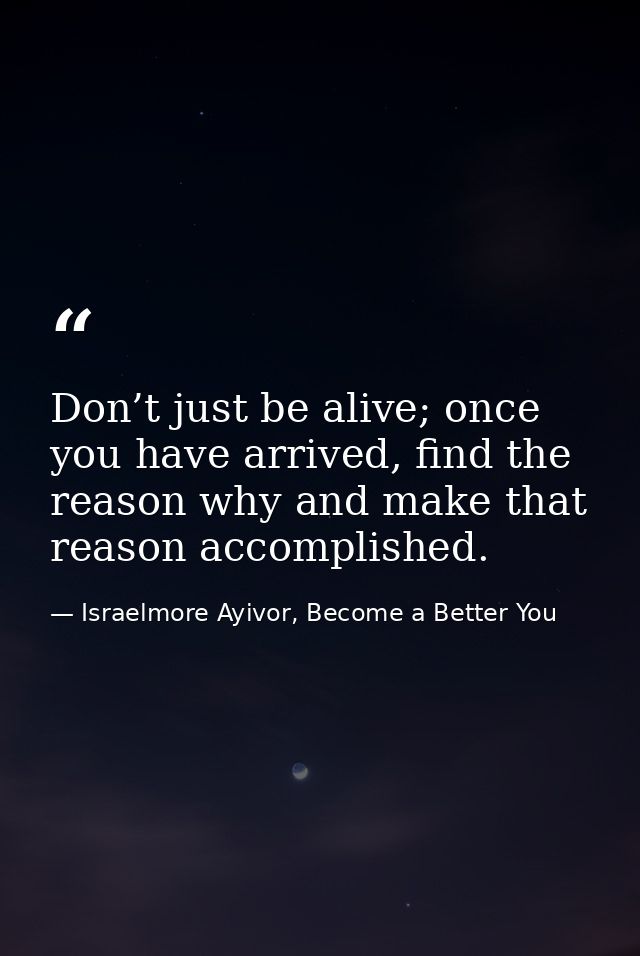Don’t just be alive; once you have arrived, find the reason why and make that reason accomplished. — Israelmore Ayivor, Become a Better You