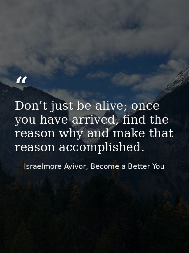 Don’t just be alive; once you have arrived, find the reason why and make that reason accomplished. — Israelmore Ayivor, Become a Better You