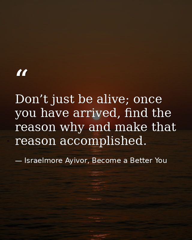 Don’t just be alive; once you have arrived, find the reason why and make that reason accomplished. — Israelmore Ayivor, Become a Better You