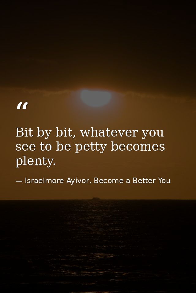 Bit by bit, whatever you see to be petty becomes plenty. — Israelmore Ayivor, Become a Better You
