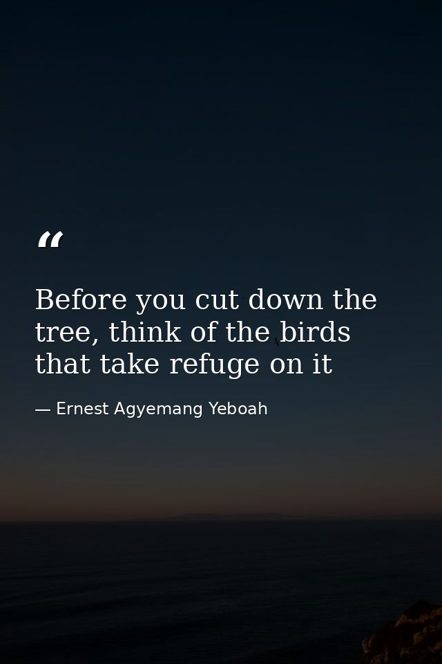 Before you cut down the tree, think of the birds that take refuge on it — Ernest Agyemang Yeboah