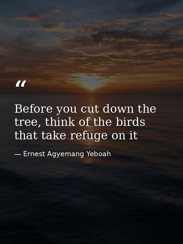 Before you cut down the tree, think of the birds that take refuge on it — Ernest Agyemang Yeboah