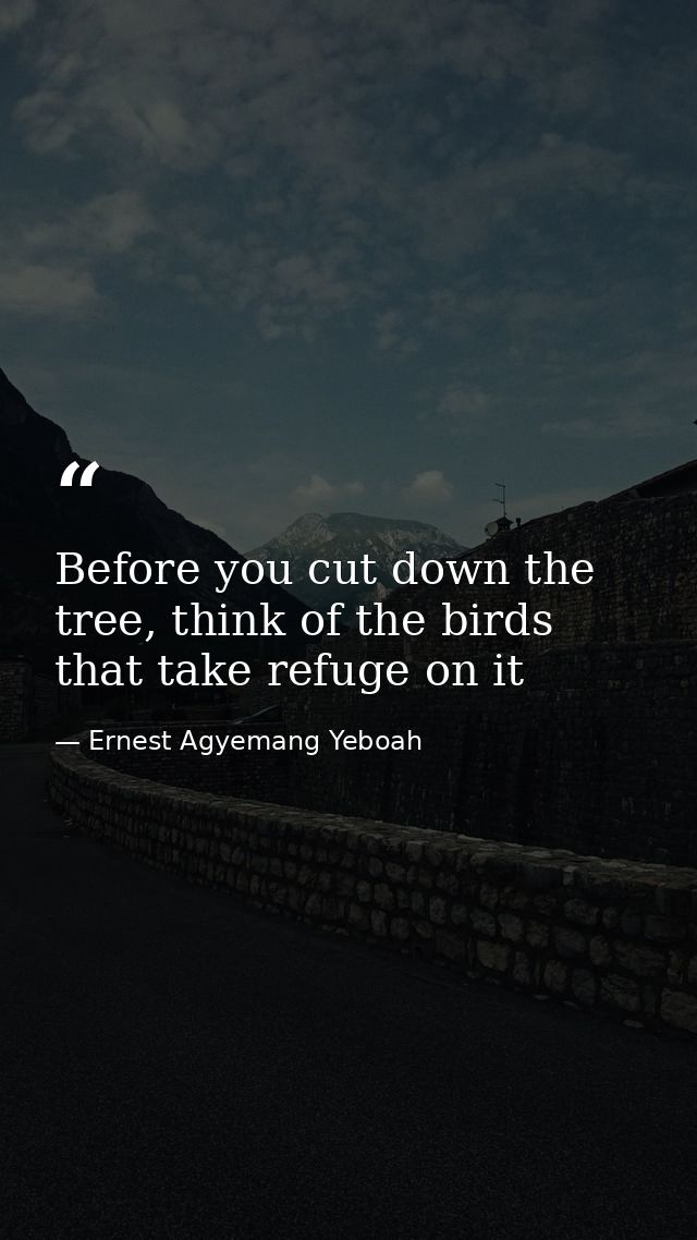 Before you cut down the tree, think of the birds that take refuge on it — Ernest Agyemang Yeboah