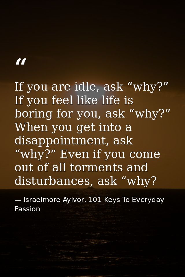 If you are idle, ask “why?” If you feel like life is boring for you, ask “why?” When you get into a disappointment, ask  — Israelmore Ayivor, 101 Keys To Everyday Passion