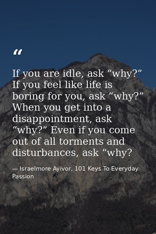 If you are idle, ask “why?” If you feel like life is boring for you, ask “why?” When you get into a disappointment, ask  — Israelmore Ayivor, 101 Keys To Everyday Passion