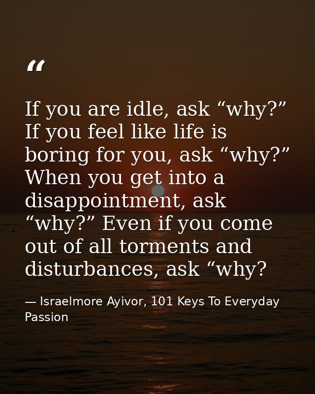 If you are idle, ask “why?” If you feel like life is boring for you, ask “why?” When you get into a disappointment, ask  — Israelmore Ayivor, 101 Keys To Everyday Passion