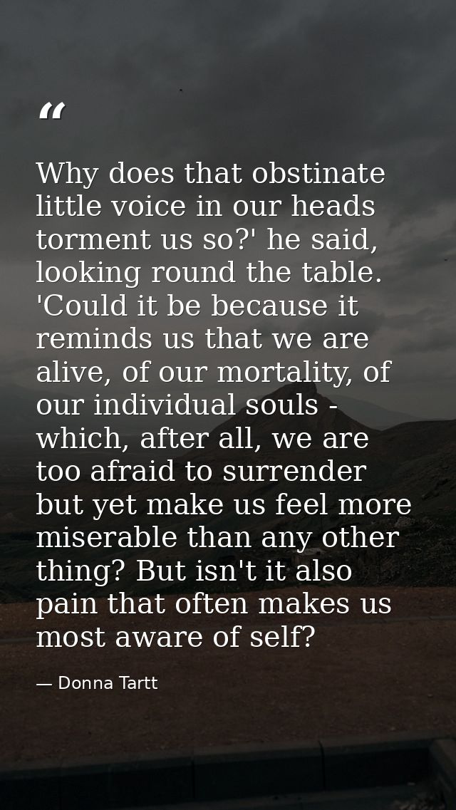 Why does that obstinate little voice in our heads torment us so?' he said, looking round the table. 'Could it be because — Donna Tartt