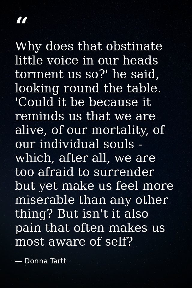 Why does that obstinate little voice in our heads torment us so?' he said, looking round the table. 'Could it be because — Donna Tartt