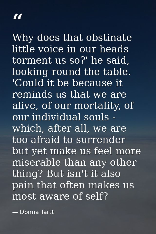 Why does that obstinate little voice in our heads torment us so?' he said, looking round the table. 'Could it be because — Donna Tartt