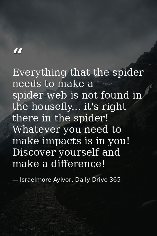 Everything that the spider needs to make a spider-web is not found in the housefly... it's right there in the spider! Wh — Israelmore Ayivor, Daily Drive 365