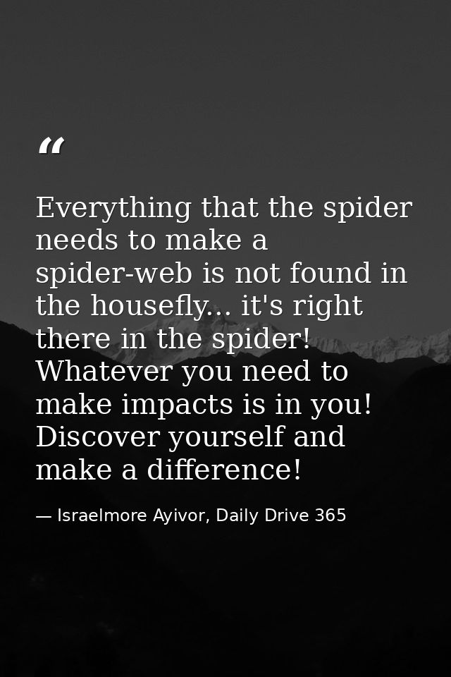 Everything that the spider needs to make a spider-web is not found in the housefly... it's right there in the spider! Wh — Israelmore Ayivor, Daily Drive 365