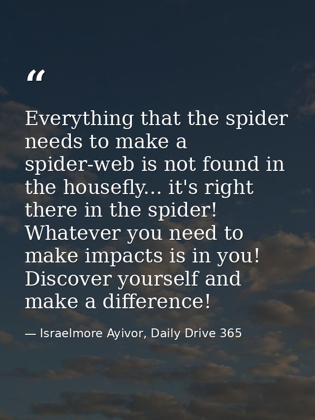 Everything that the spider needs to make a spider-web is not found in the housefly... it's right there in the spider! Wh — Israelmore Ayivor, Daily Drive 365