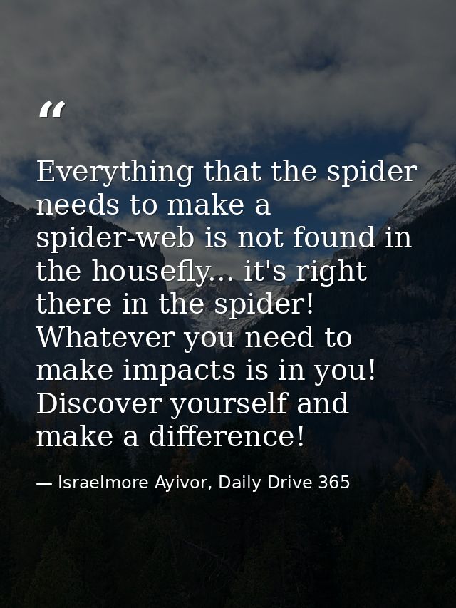 Everything that the spider needs to make a spider-web is not found in the housefly... it's right there in the spider! Wh — Israelmore Ayivor, Daily Drive 365