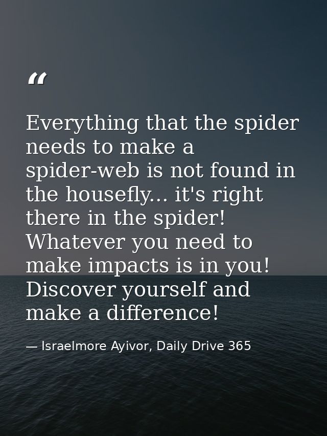 Everything that the spider needs to make a spider-web is not found in the housefly... it's right there in the spider! Wh — Israelmore Ayivor, Daily Drive 365