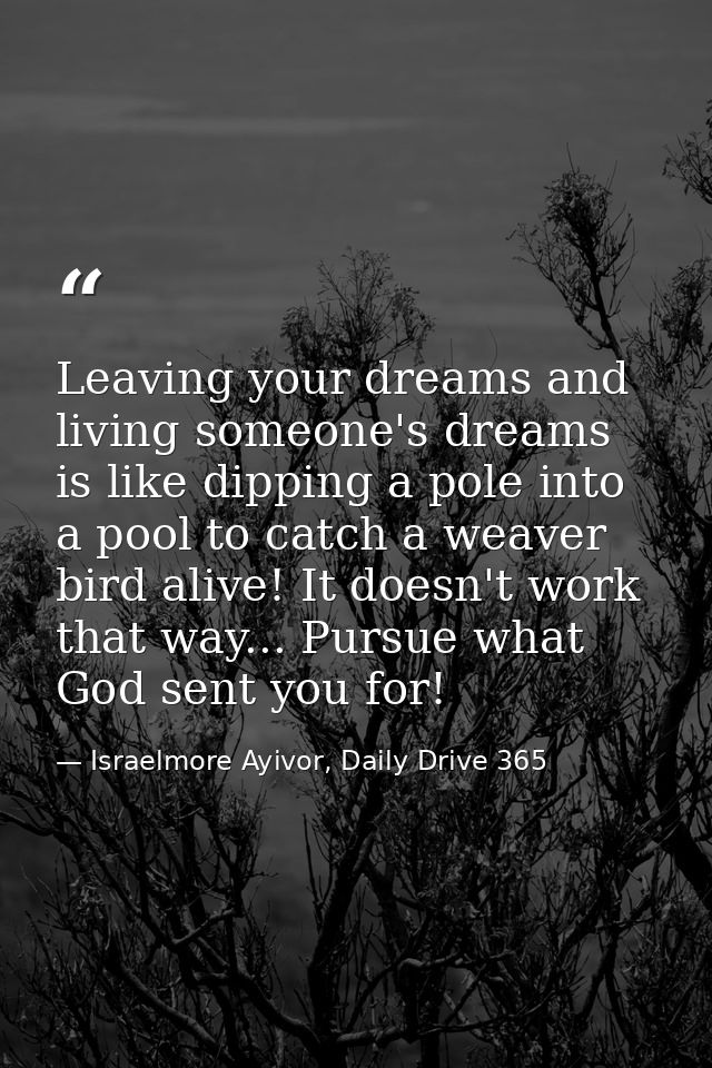 Leaving your dreams and living someone's dreams is like dipping a pole into a pool to catch a weaver bird alive! It does — Israelmore Ayivor, Daily Drive 365