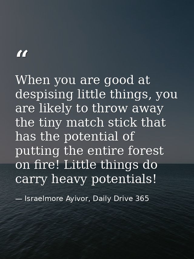 When you are good at despising little things, you are likely to throw away the tiny match stick that has the potential o — Israelmore Ayivor, Daily Drive 365