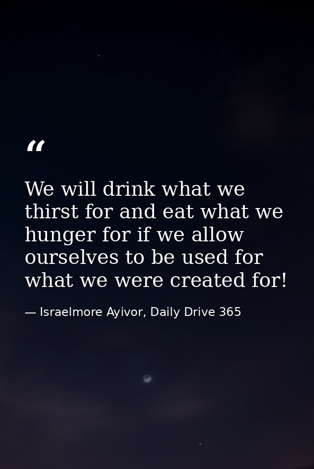 We will drink what we thirst for and eat what we hunger for if we allow ourselves to be used for what we were created fo — Israelmore Ayivor, Daily Drive 365