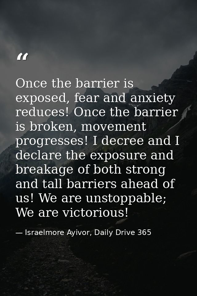 Once the barrier is exposed, fear and anxiety reduces! Once the barrier is broken, movement progresses! I decree and I d — Israelmore Ayivor, Daily Drive 365