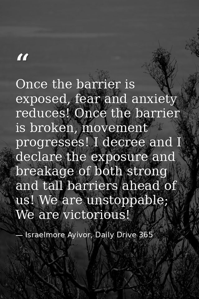 Once the barrier is exposed, fear and anxiety reduces! Once the barrier is broken, movement progresses! I decree and I d — Israelmore Ayivor, Daily Drive 365