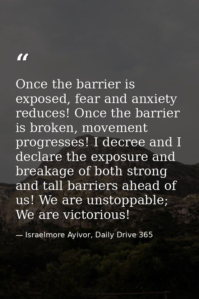 Once the barrier is exposed, fear and anxiety reduces! Once the barrier is broken, movement progresses! I decree and I d — Israelmore Ayivor, Daily Drive 365