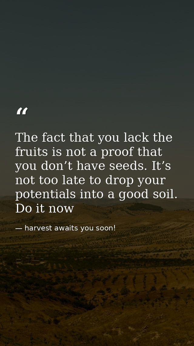 The fact that you lack the fruits is not a proof that you don’t have seeds. It’s not too late to drop your potentials in — harvest awaits you soon!